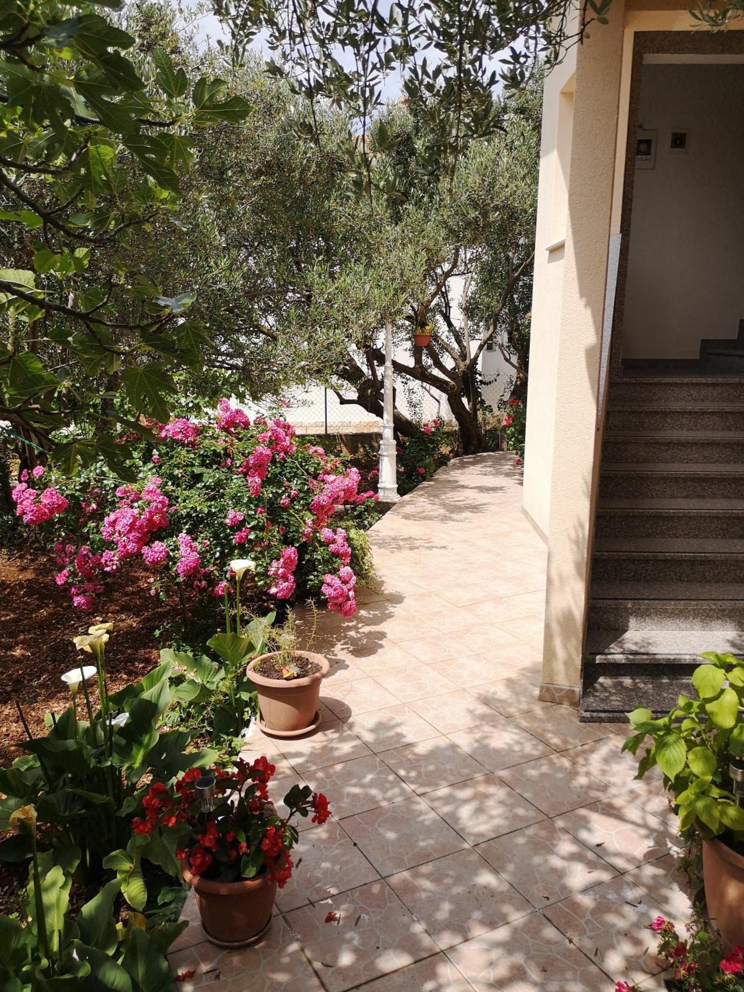 Apartments Govic Zaboric Εξωτερικό φωτογραφία