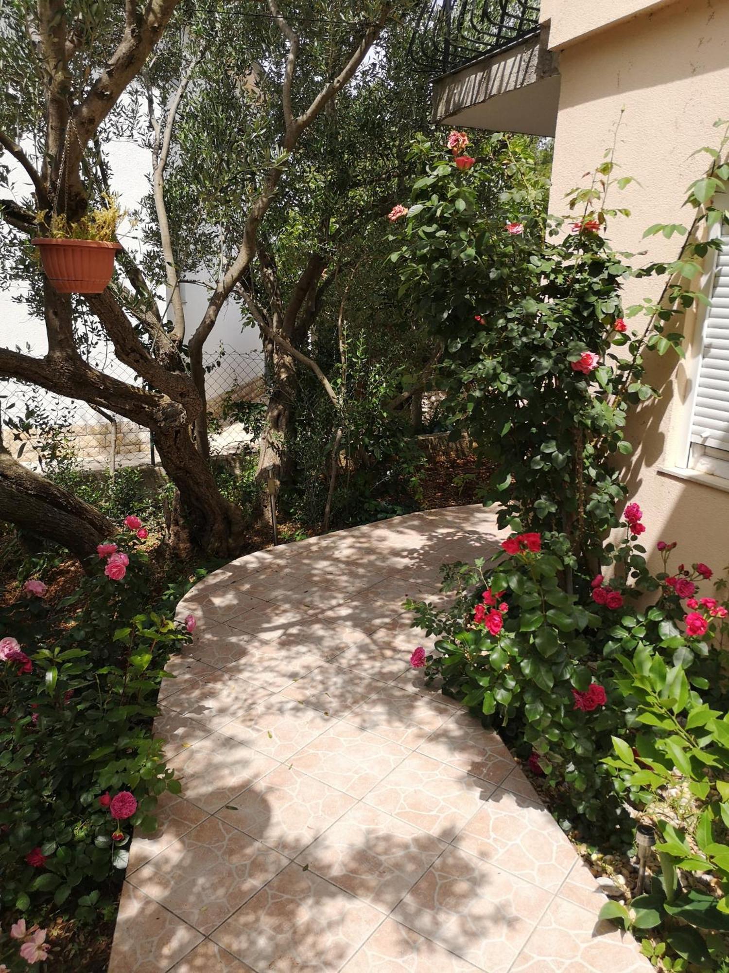 Apartments Govic Zaboric Εξωτερικό φωτογραφία